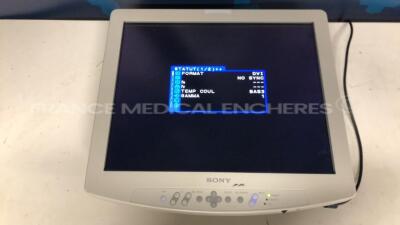 Sony LCD Monitor LMD-1950MD - YOM 2009 w/ Sony Power supply AC-2450MD - YOM 2008 (Powers up)