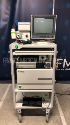 Olympus Endoscopy Tower including Olympus Light Source CLK-4 w/ Olympus Leakage Tester and Olympus Pulse Unit MD-777 and Olympus Endoscopic Ultrasound Center EU-M20 w/ Footswitch and Sony Video Cassette Recorder SVO-140PSA and Sony Video Graphic Printer U
