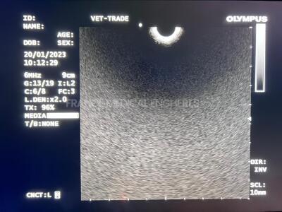 Olympus Ultrasound Videogastroscope UCF-140P-AL5 -Engineer's Report Optical System - No Fault Found - Channels No Fault Found - Angulation No fault Found - Bending Section No Fault Found - Insertion Tube little pinch- Light Transmission No Fault Foun - 13