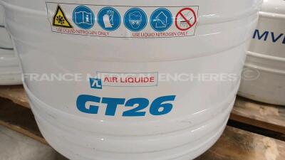 Lot of 4x Air Liquid Liquide Nitrogen Storage Vessel GT38 and 1x Air Liquide Liquid Nitrogen Storage Vessel GT40 and 1x Air Liquide Liquid Nitrogen Storage Vessel GT26 and 1x Froilabo Liquid Nitrogen Storage Vessel XC21/6 - 7